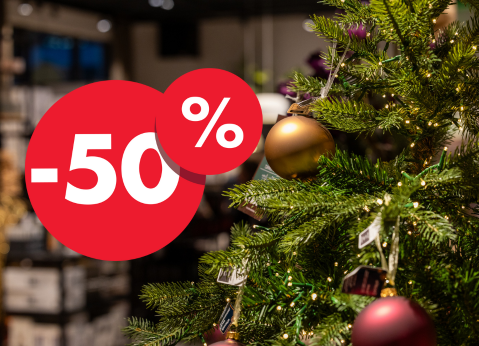 X Mas Sale: 50% Rabatt!